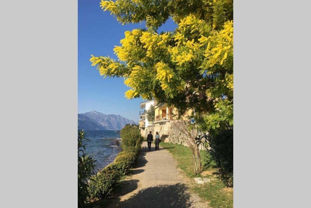 Villa Francesca-Grande Appartamento In Riva Al Lago Brenzone sul Garda Exteriör bild